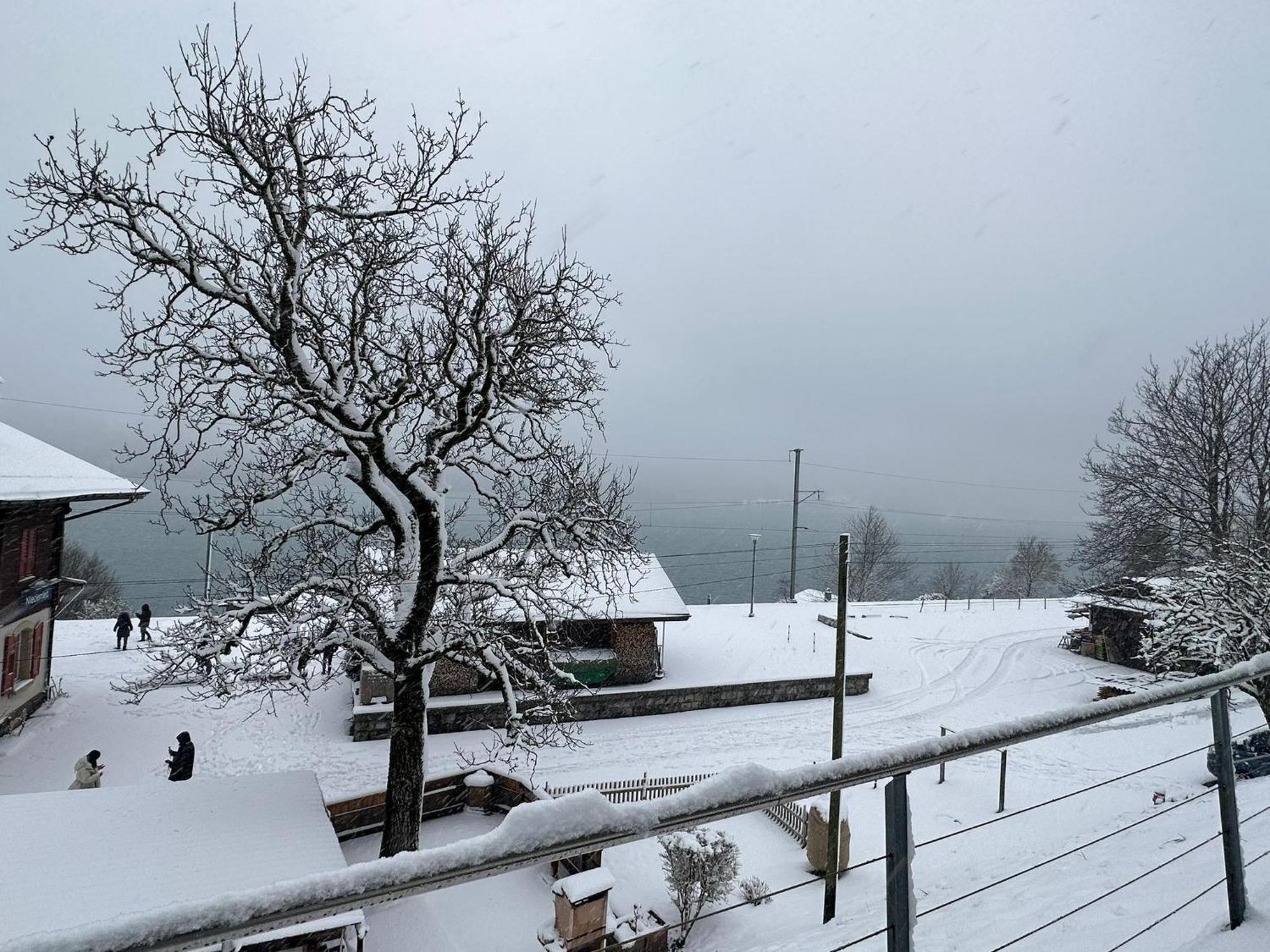 Lake View Residence Niederried bei Interlaken Экстерьер фото